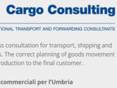 Cargo Consulting srl